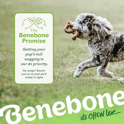 Benebone Tripe Bone Durable Dog Chew Toy for Aggressive Chewers, Giant - Image 6