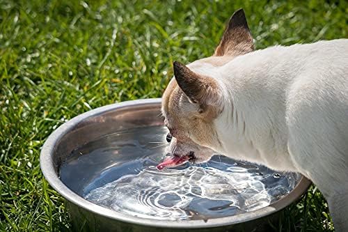 Bosky 2 Pack Stainless Steel Dog Bowls 8.8" Diameter for Food or Water ~ Ideal for Use on Floor or for Elevated Pet Feeder Stands (8 Cups)