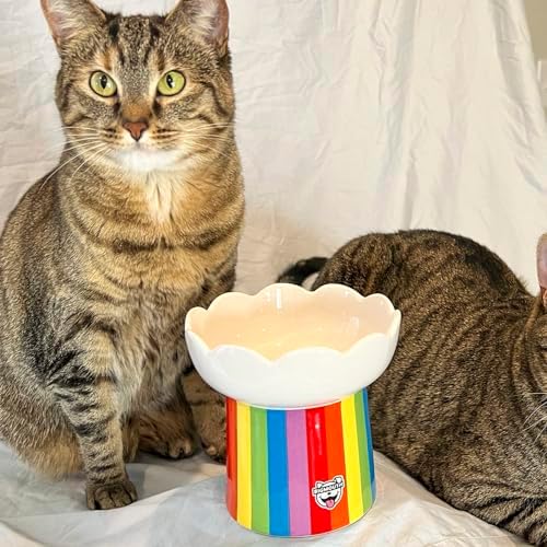 Rainbow Elevated Cat Bowl - Raised Cat Bowl - Lifted Pet Food, Water - Ceramic Feeder - Feeding Bowls for Small Dog - Image 7