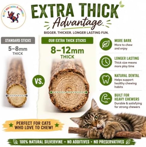 Extra Thick Silvervine Sticks for Cats, Natural Matatabi Cat Chew Sticks, 10 Pack, 8–12mm Thick, 4.75" Long, Catnip Alternative, Dental Chew Toy by Kitty Whiskers Playhouse - Image 7