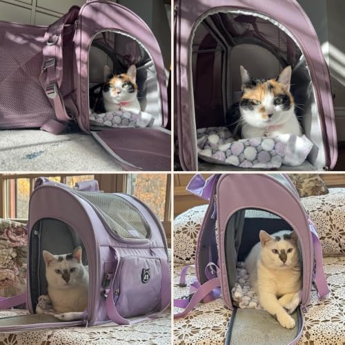 Lollimeow Expandable Cat Carrier Backpack for Large Cats - Airline Approved Pet Carrier Backpack for Small Dogs, Hiking & Travel, Waterproof with Breathable Mesh, 22lbs Capacity (Plum, Large) - Image 7