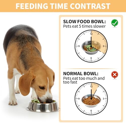 Slow Feeder Dog Bowls Insert, Bestalk Soft Silicone Slow Eating Feeder Insert with Suction Cups for Small, Medium and Large Dogs, Fit into Basic and Elevated Dog Bowls, Green - Image 2