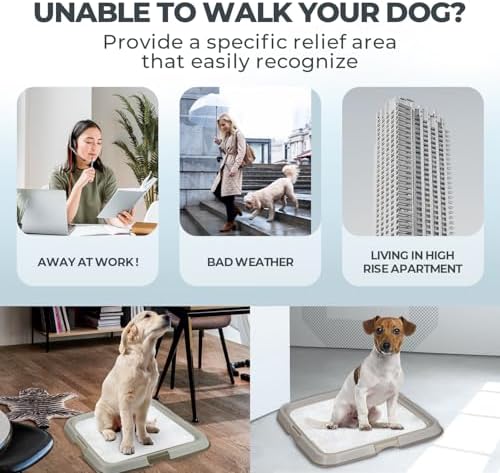 PAWISE Dog Training Pee Pad Holder Tray, Indoor Puppy Potty Pee Pad Floor Tray Dog Toilet, 24''X24', Large - Image 2
