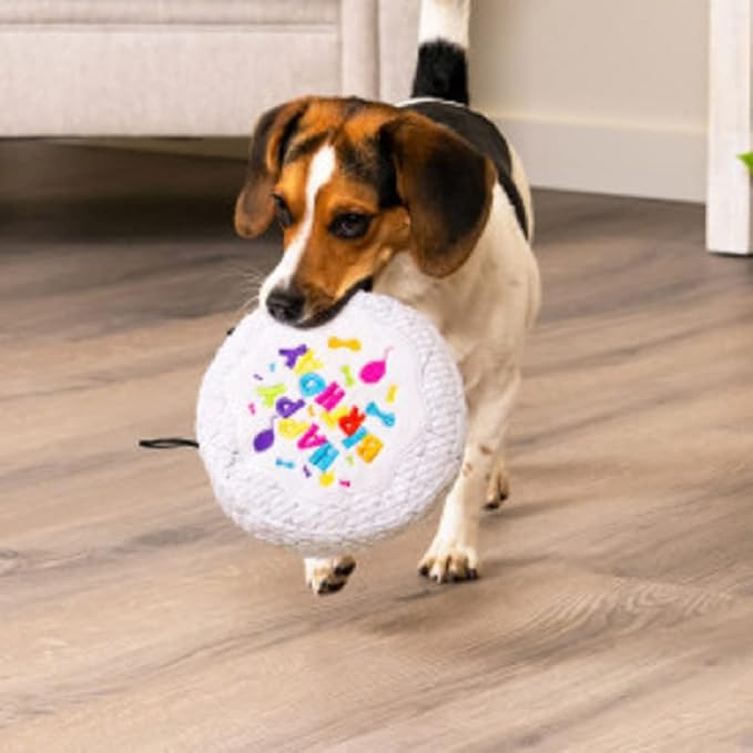 TrustyPup Tough 'N Fun Birthday Cake Squeaky Plush Dog Toy, Chew Guard Technology - White, Large (71150)