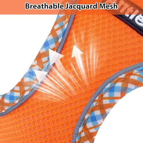 AIITLE Medium Dog Harness and Leash Set with Breathable Mesh, Orange M - Image 2