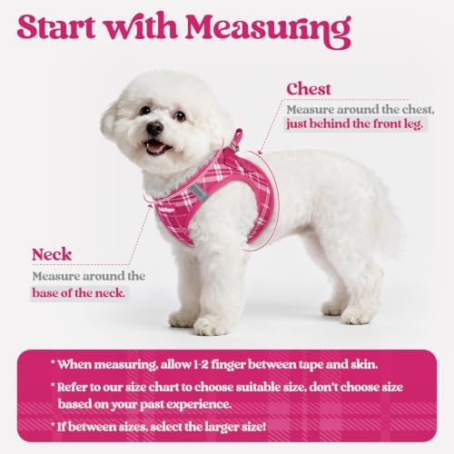 rabbitgoo Dog Harness Small Sized and Leash Set, Step-in Puppy Pet Vest - Image 2