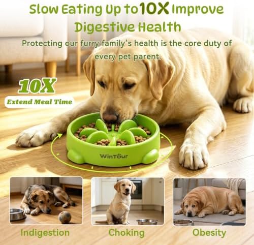 WinTour Slow Feeder Dog Bowls for Small Medium Pets, Round PP Dish, 1 Pack - Image 2