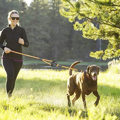 JSXD Heavy Duty Double Handle Dog Leash - 5 FT with Comfortable Padded & Reflective Rope for Small, Medium, Large Dogs (Rope-Orange) - Image 6