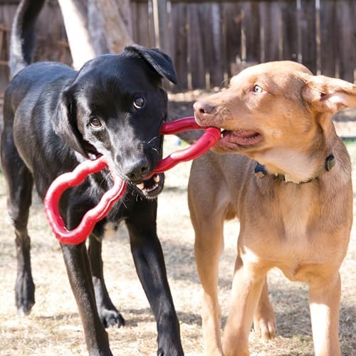 KONG Tug Toy, Natural Rubber Dog Toy for Tug of War, for Medium/Large Dogs - Image 2