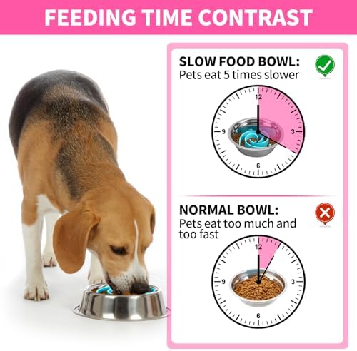 Slow Feeder Dog Bowls Insert, Bestalk Soft Silicone Slow Eating Feeder Insert with Suction Cups for Small, Medium and Large Dogs, Fit into Basic and Elevated Dog Bowls, Teal - Image 2