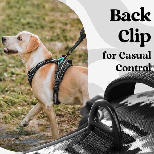 rabbitgoo Dog Harness Small Sized, Updated Easy On & Off with 3 Buckles - Image 7