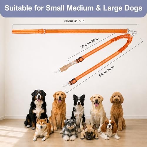 Double Dog Leash Padded Handle 360°Swivel No Tangle Dual Leash for Two Dogs - Image 7