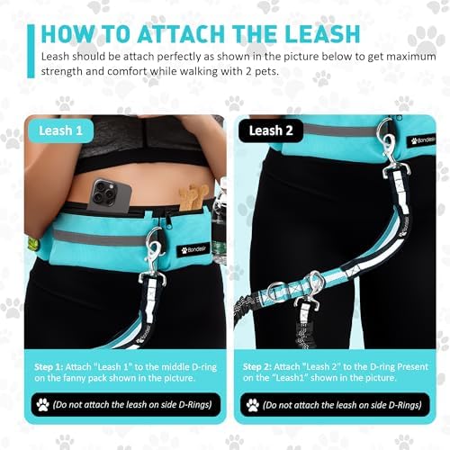 Waist Leash for Double Dog Walking 2 Medium and Large Dogs; Shock-Absorbing, No Pull, No Tangle, Heavy Duty, Hands-Free Double Bungee 2 Dog Leash; Hiking, Walking, Running Gear with Multiple Pockets - Image 2
