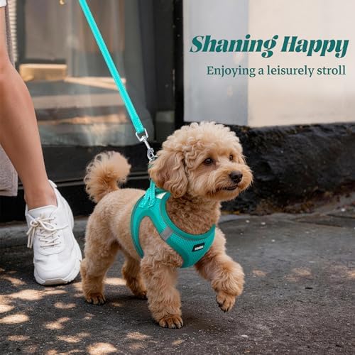 No Pull Dog Puppy Harness and Leash Set Reflective Mesh Vest Small - Image 5