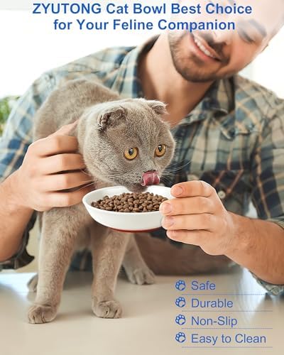 Ceramic Cat Bowl Whisker Friendly, Non-Slip Cat Food Bowls 6-Pack - Image 7