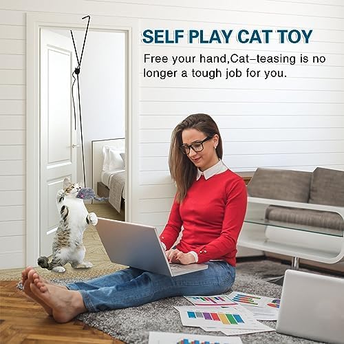 Kalimdor Interactive Cat Feather Toys,Retractable Teaser Toy ,Hanging Interactive Toys for Indoor Cats Kitten Play Chase Exercise, Kitten Mental Exercise Toys (1 Pack) - Image 2