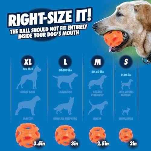 Chuckit! Air Fetch Ball Dog Toy, XL 3.5in, for Dogs Over 100lbs - Image 5