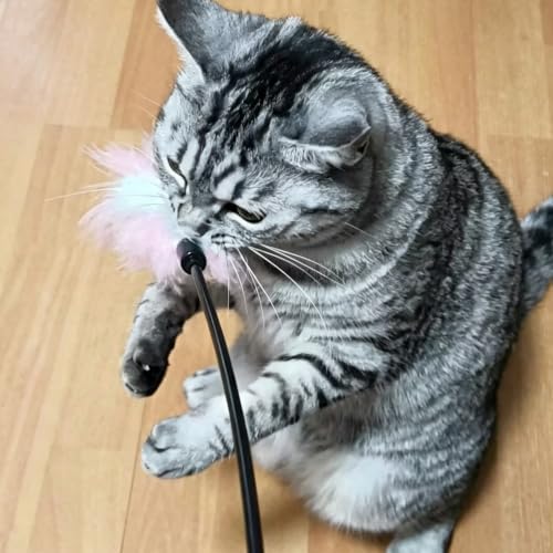 Cat Wand Toys 6 PCS Colorful Feather Wand with Bell Interactive Cat Toys - Image 6