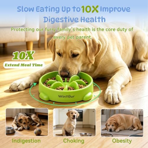 WinTour 2 Pack Slow Feeder Dog Bowls, BPA Free, Medium & Small Dog Bowls - Image 2