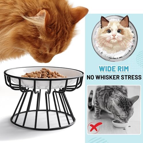 Cat Bowls, Elevated Cat Bowl, Raised Ceramic Dish with Metal Stand, Pet Water or Food Feeding Station for Indoor Cats, Kitten, Puppies and Small Dogs, Dishwasher Safe - Image 2