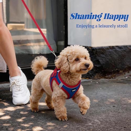 No Pull Dog Puppy Harness and Leash Set Reflective Mesh Vest Small - Image 6