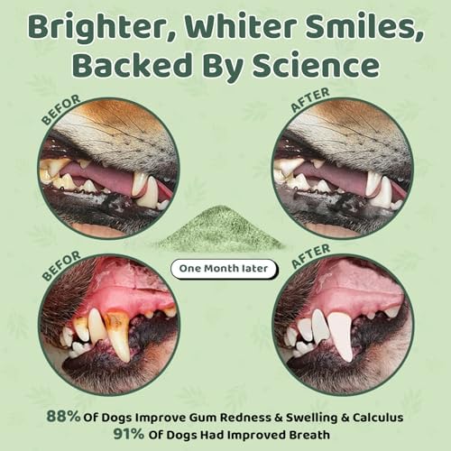 Dog Teeth Cleaning Powder, Dog Dental Powder, Dog Dental Care, Targets Tartar & Bad Breath & Reduces Plaque, Dental Powder for Dog Teeth Cleaning, Green - Image 2