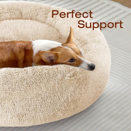 JOLLYVOGUE Dog Bed, Calming Anti-Anxiety Large Dog Bed, Fluffy Donut Cushion for Medium and Large Pets (31") - Image 2