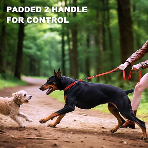 Heavy Duty Double Handle Dog Leash 6 ft Long for Total Control, Padded 2 Handle, Reflective Training Lead for Medium Large Dogs (Orange, 6 FT) - Image 6