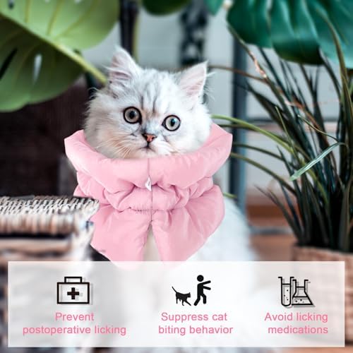 BOXOB Adjustable Waterproof & Soft Recovery Collar for Dogs and Cats - Image 7
