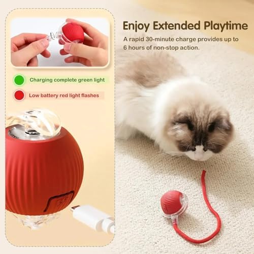 Automatic Cat Ball, RED, LED Lights, Indoors for Active Cats - Rechargeable, Smart Rolling, Speedy Tail/Rope - Image 2