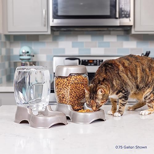 Petmate Pet Cafe Gravity Water Dispenser, 0.75 GAL, Pearl Gray - Image 7