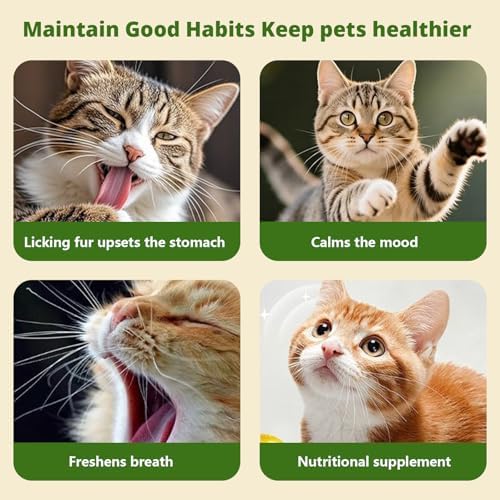 Catnip Toys, Catnip Toys for Cats, Tree-Shaped Cat Interactive Toy, Cat Toy for Bored Indoor Adult Cats, Suitable for Felines - Image 7
