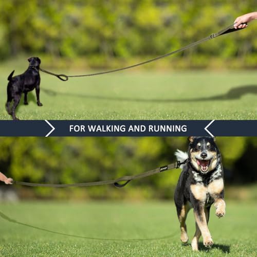 Plutus Pet Double Handle Dog Leash, 6 FT Long, for Medium Large Dogs - Image 7