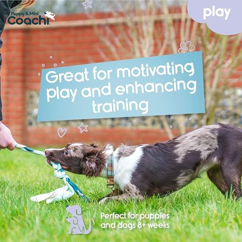 Coachi Puppy & Mini Tuggi Tug - Dog Toy for Tug of War & Play - Image 2