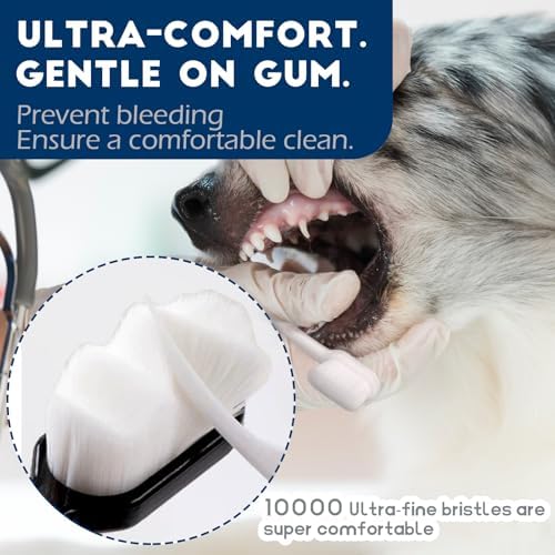 Dog Toothbrush Kit, Ultra Soft Pet Tooth Brush for Medium to Large Dogs & Cats 4 Pack, Pinkwhite - Image 2