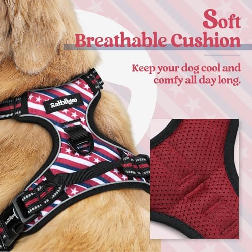 rabbitgoo Dog Harness, No Pull for Small Dogs with 2 Leash Clips, Pet Vest - Image 2