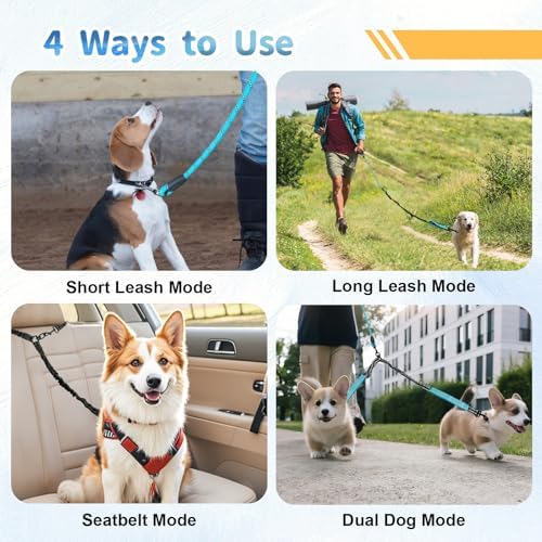 Double Dogs Leash - Removable Main Lead Rope with Splitter, No Tangle 2 Dog Coupler, Reflective No Pull Bungee, 3 Handle, D-Ring, Extra Long for Walk Train Medium Large Two Pet (Blue) - Image 7