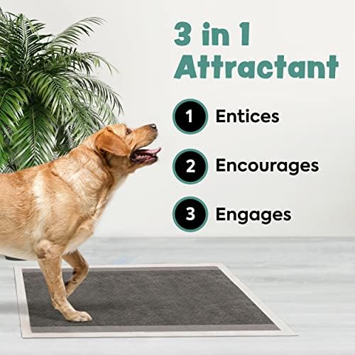 Disposable Puppy Pads Potty Training - 10 Activated Charcoal Pee Pads for Dogs with Attractant - Wee Wee Absorbent, Odor Neutralizer Dog Pads - Five Layered Pet Potty Pads - 36" x 36" - Image 2