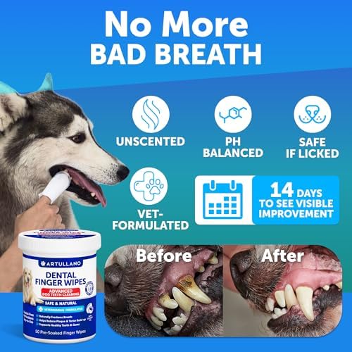 Dental Finger Wipes for Dogs Teeth - 50 Count - Unscented Dog Dental Wipes - Image 2