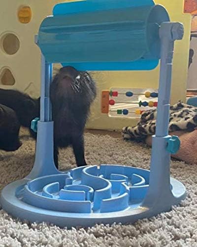Slow Feeder Game - Interactive Food Puzzle Toy for Healthy Eating and Mental Stimulation for Dogs Pigs Rabbits Cats or Other Pets (Blue)