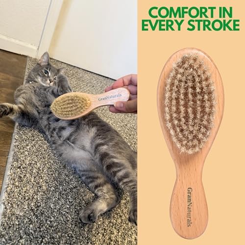 GranNaturals Boar Bristle Soft Cat Brush for Indoor, Outdoor, Short Haired Cats, Kittens, Small Dog, Rabbit, Furry Pets - Gentle Grooming on Sensitive Hair Coat & Tail with Durable Wooden Handle - Image 7