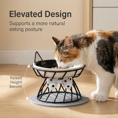 Ceramic Cat Dish, Cat Plate Relief Whisker Fatigue Cat Dishes for Food and Water, Whisker-Friendly Design, 5.9W x 1.18D Inch, for Indoor Cat and Small Dog, Multi Color (2-Black) - Image 2