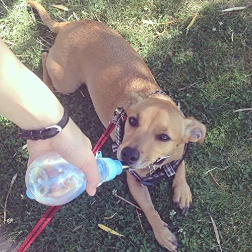 Choco Nose No-Drip Portable Travel Water Bottle for Small Dogs & Cats - Lockable Leak-Proof Design Prevents Spills in Bags & Cars, Outdoor Feeder for Puppies & Toy Breeds, 8 fl oz (C258) - Image 7