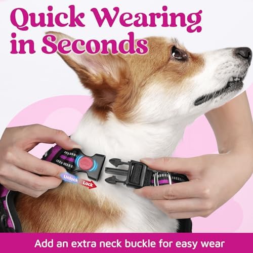 rabbitgoo Dog Harness for Large, No Pull 3 Buckles Easy On & Off - Image 2