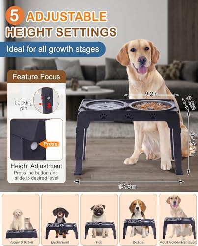 LALOBLUE Collapsible Dog Bowls Raised Elevated Adjust Stand - Image 2