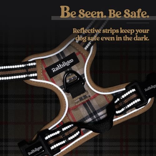 rabbitgoo Dog Harness, No Pull for Large Dogs with 2 Leash Clips, Pet Vest - Image 7