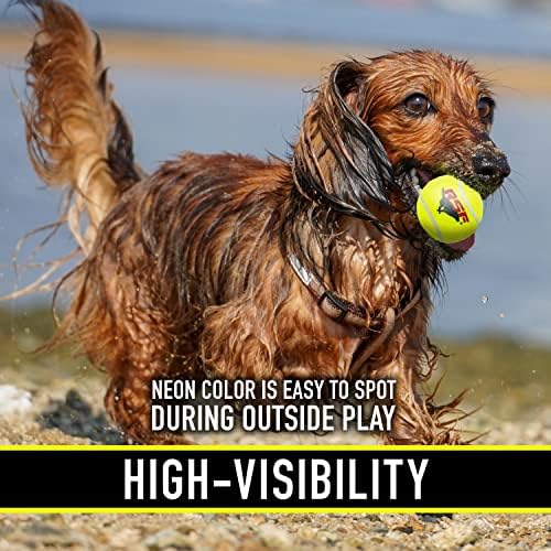 Franklin Sports Ready Set Fetch Mini Squeaker Tennis Ball - 12 Pack - Image 7