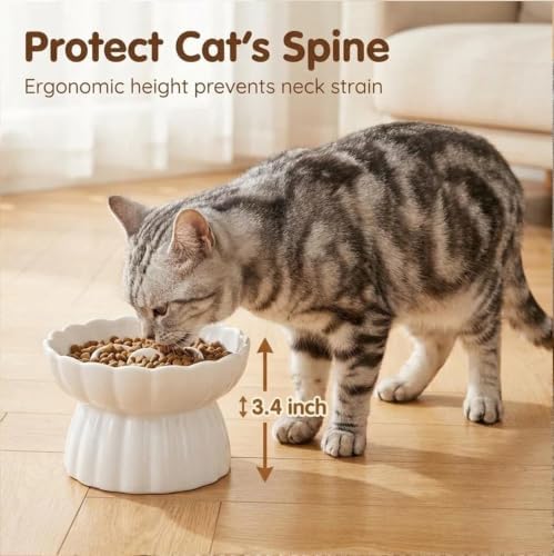 Ceramic Cat Slow Feeder, Raised Slow Feeder Cat Bowl, Anti Vomiting and Whisker Friendly, Non-Toxic - Image 7