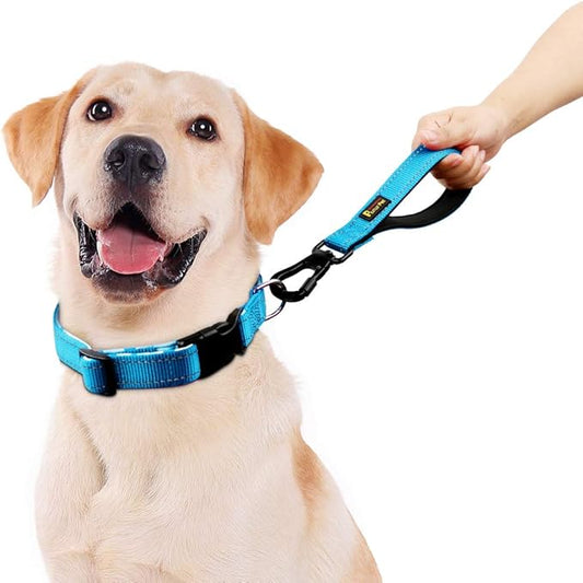 PLUTUS PET 10” Short Dog Leash, Reflective Nylon Padded Handle, Strong Traffic Leash with Carabiner Clip, Perfect for Large or Medium Dogs(10”,Blue