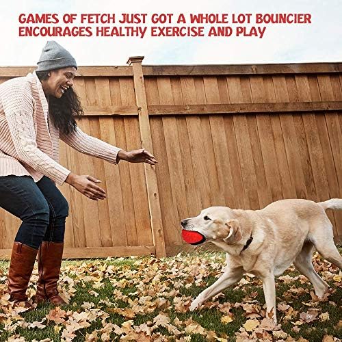 RHL Dog Squeaky Toys for Aggressive chewers Large Breed Balls Interactive Ball Toy Almost Indestructible Tough Durable Stick Medium Small Dogs Puppy Chew with Non-Toxic Natural Rubber - Image 2